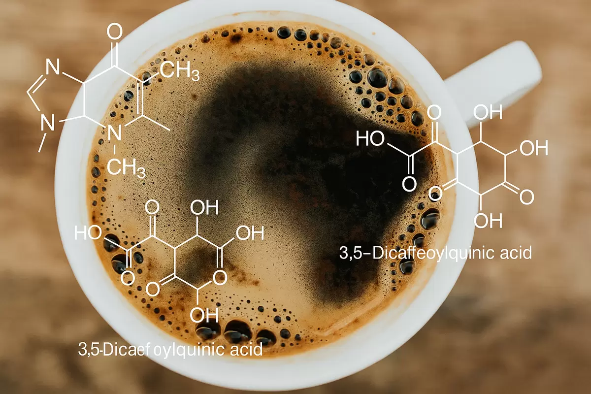 Кофе: Обман или чудодейственный эликсир? Разбираемся в мифах