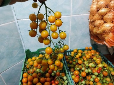 ��� ���������� ��������� ������ �����������: ���� ���������� ������