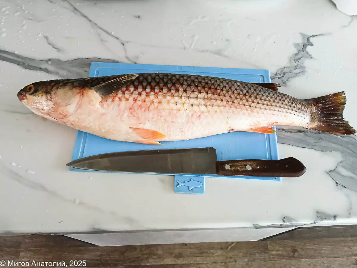 Легкий обед: отварной пеленгас с молодой картошкой – простое решение для гурманов