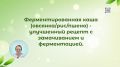 Ферментированная каша: как сделать завтрак более питательным и вкусным